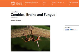 California Academy Article