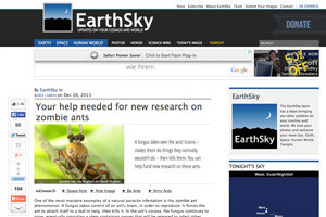 EarthSky Article